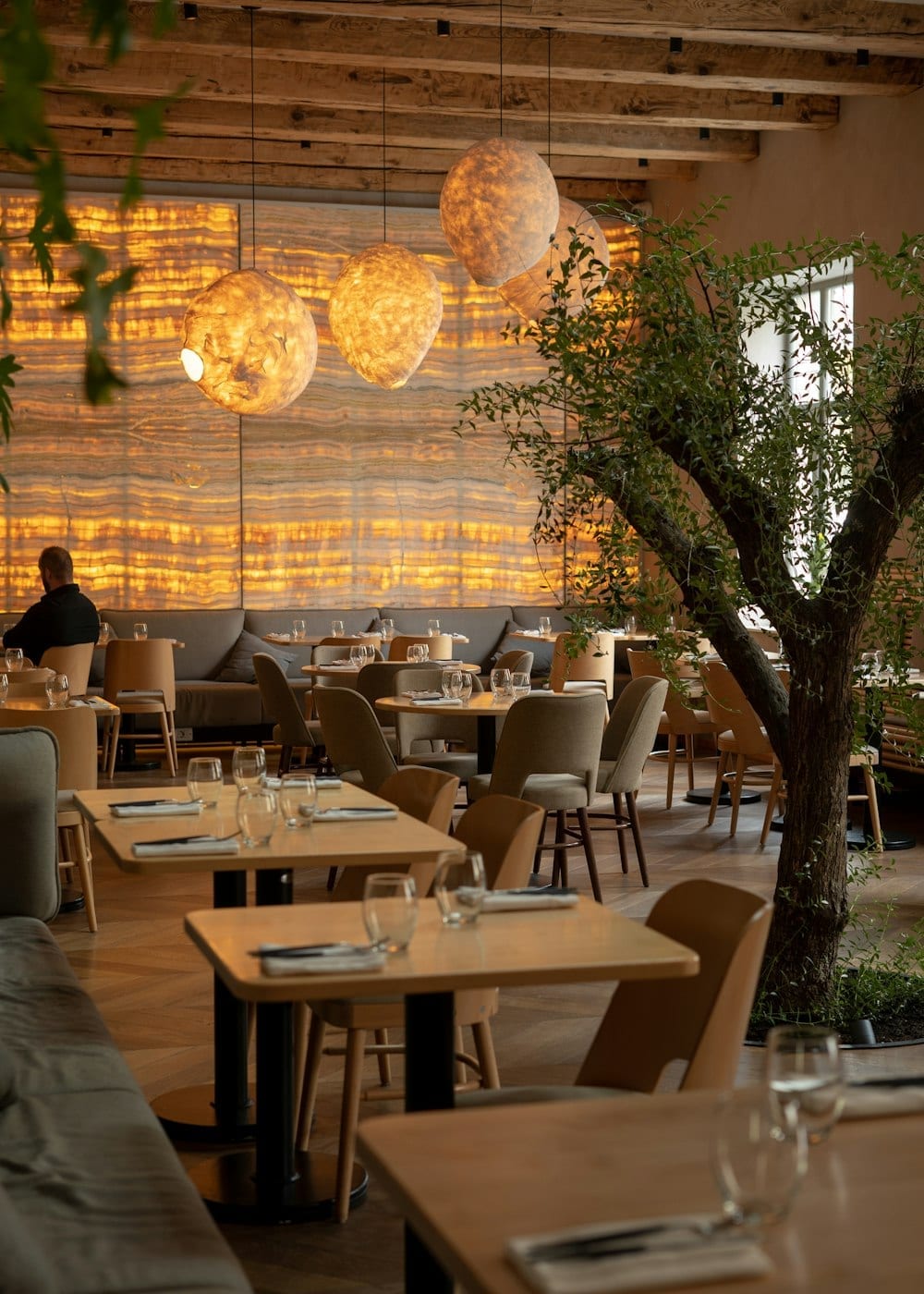 A dining room built around a mature olive tree