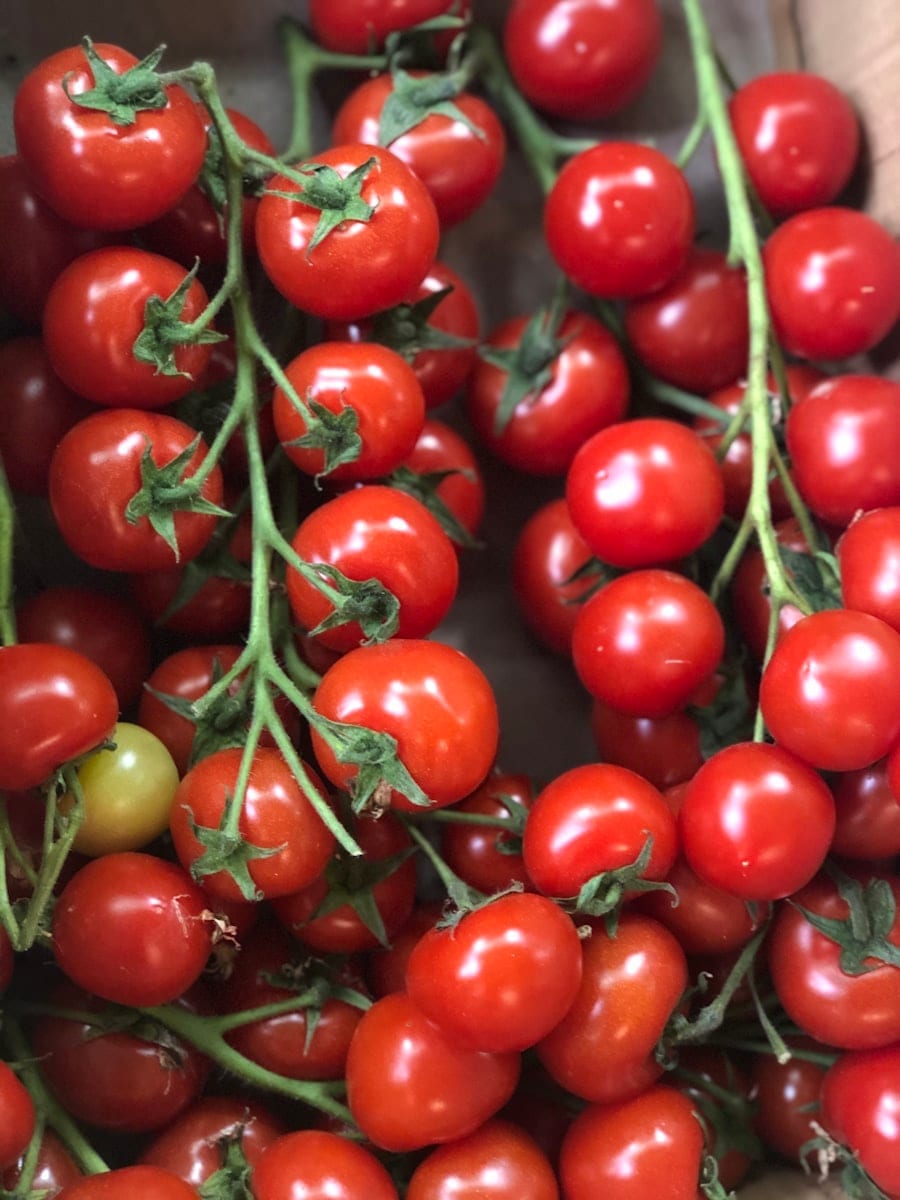 Cherry tomatoes still on the vine